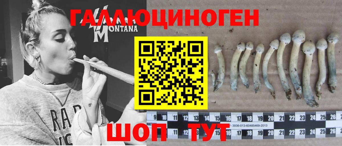 Псилоцибиновые грибы Psilocybe Ярцево