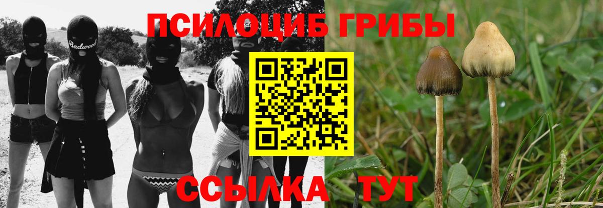 Галлюциногенные грибы мицелий  Вход с VPN  Ярцево 